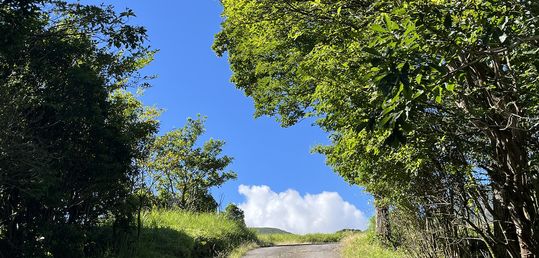 夏山登山  あると幸福度があがるもの